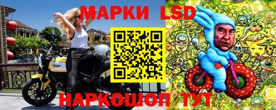 марки lsd Будённовск