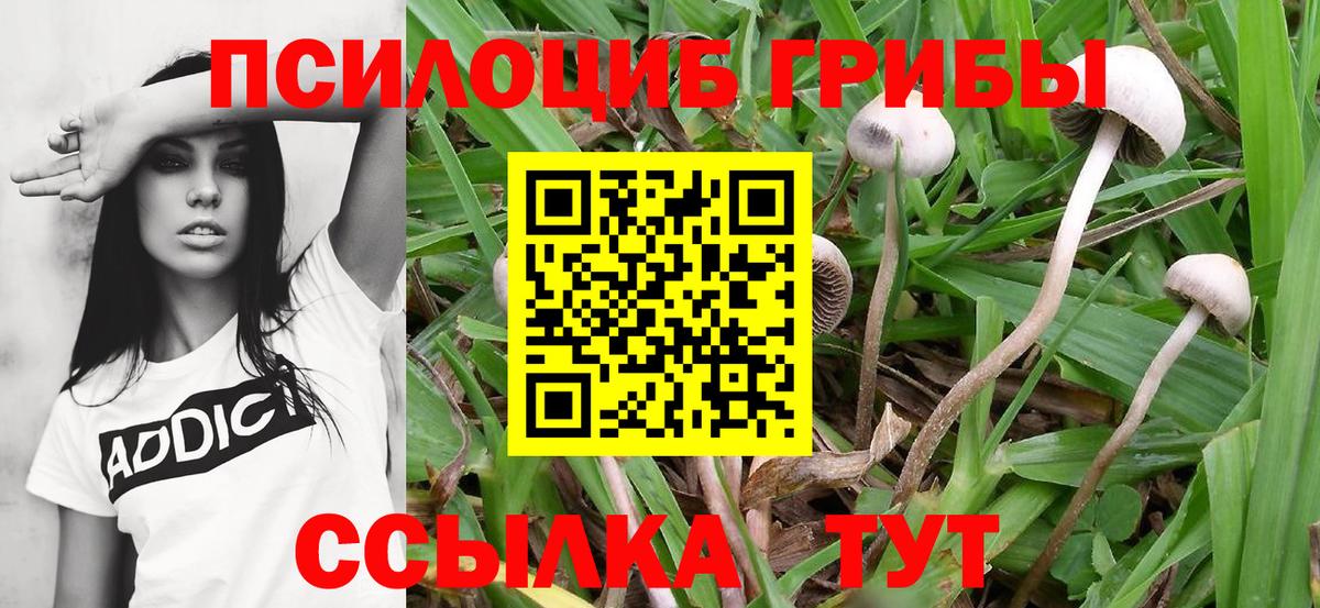 Бошки Шишки Воткинск
