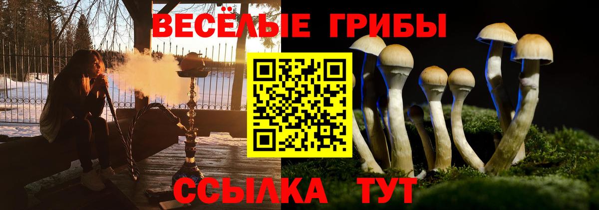Псилоцибиновые грибы ЛСД Воткинск
