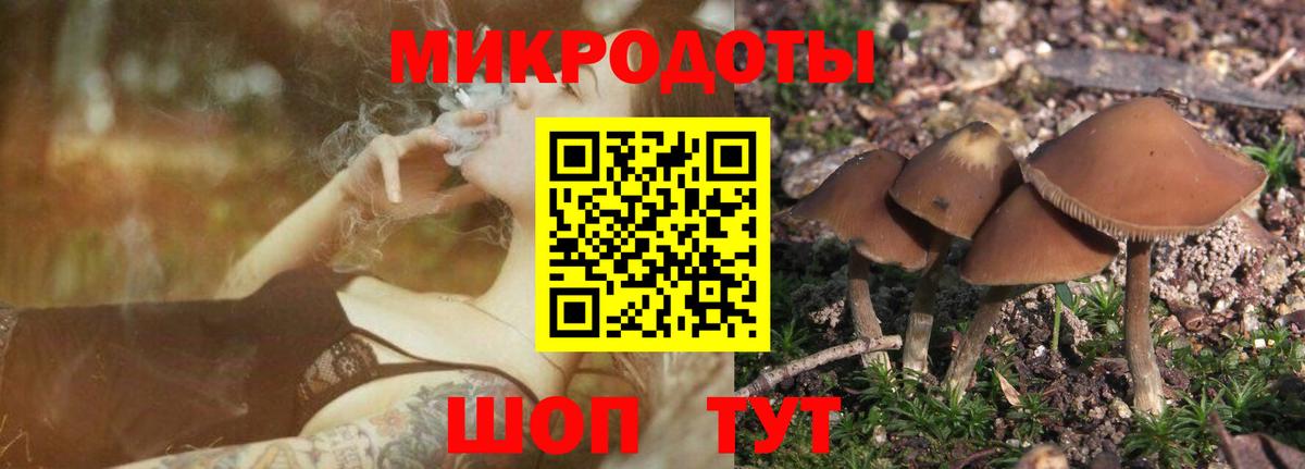 Галлюциногенные грибы Psilocybe  Псилоцибиновые грибы мухоморы  как найти закладки  Воткинск 