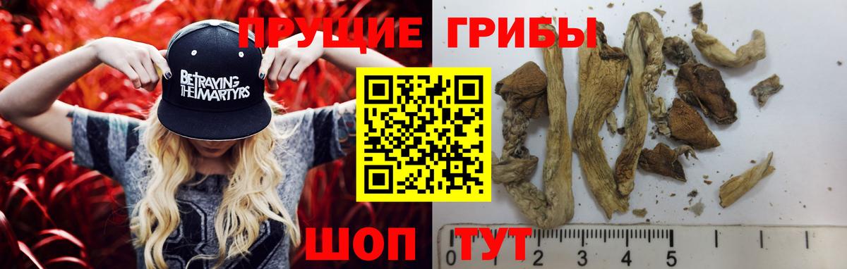 как найти   Галлюциногенные грибы мицелий  Вход с VPN  Воткинск 